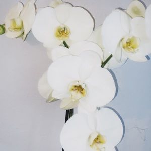 Meet your Posher, Kaitlyn